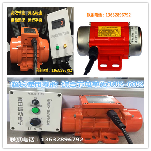直流振動(dòng)電機(jī) 直流振動(dòng)電機(jī)