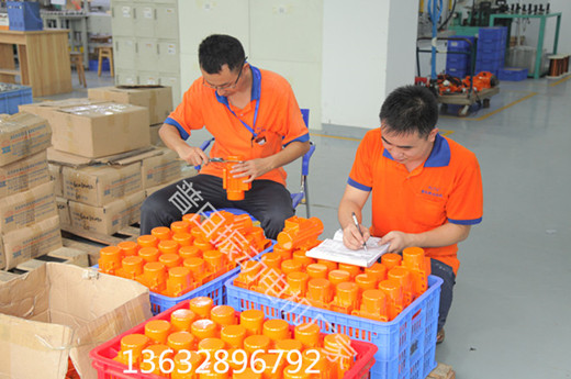 200DC-24V12V直流振動(dòng)電機(jī)廠家 200DC-24V12V直流振動(dòng)電機(jī)廠家